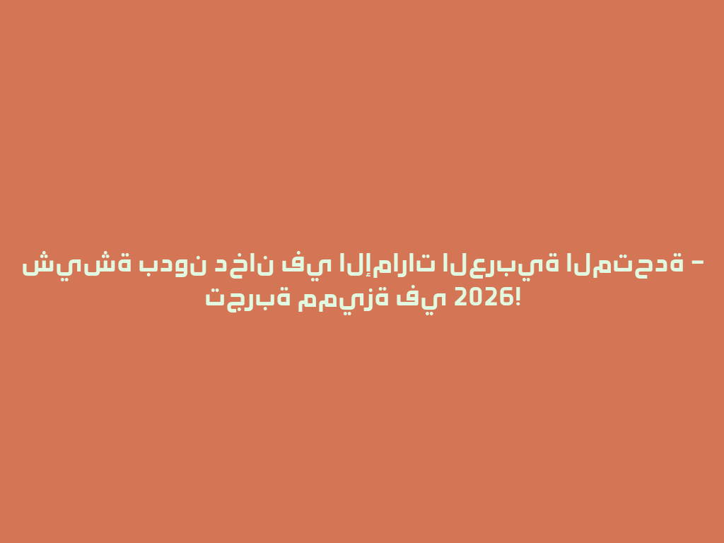 شيشة بدون دخان في الإمارات العربية المتحدة – تجربة مميزة في 2026! 一