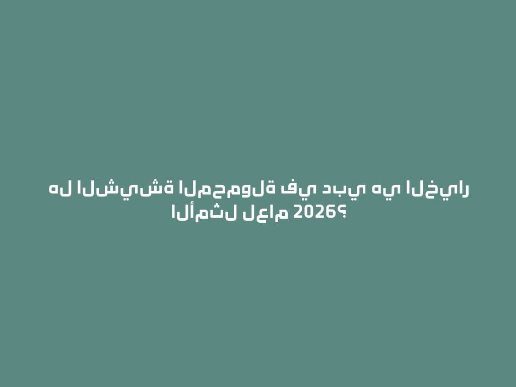 هل الشيشة المحمولة في دبي هي الخيار الأمثل لعام 2026؟ 一