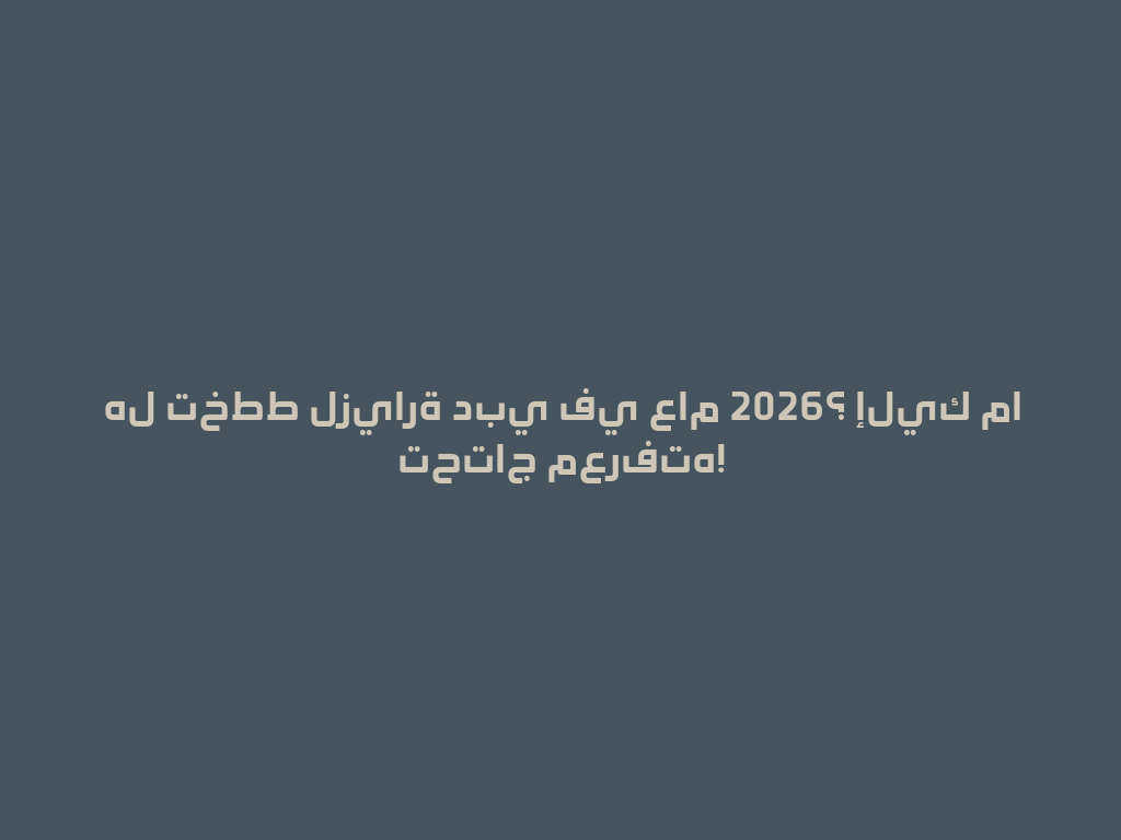 هل تخطط لزيارة دبي في عام 2026؟ إليك ما تحتاج معرفته! 一