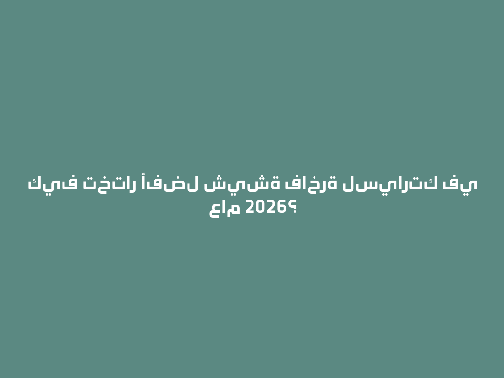 كيف تختار أفضل شيشة فاخرة لسيارتك في عام 2026؟ 一