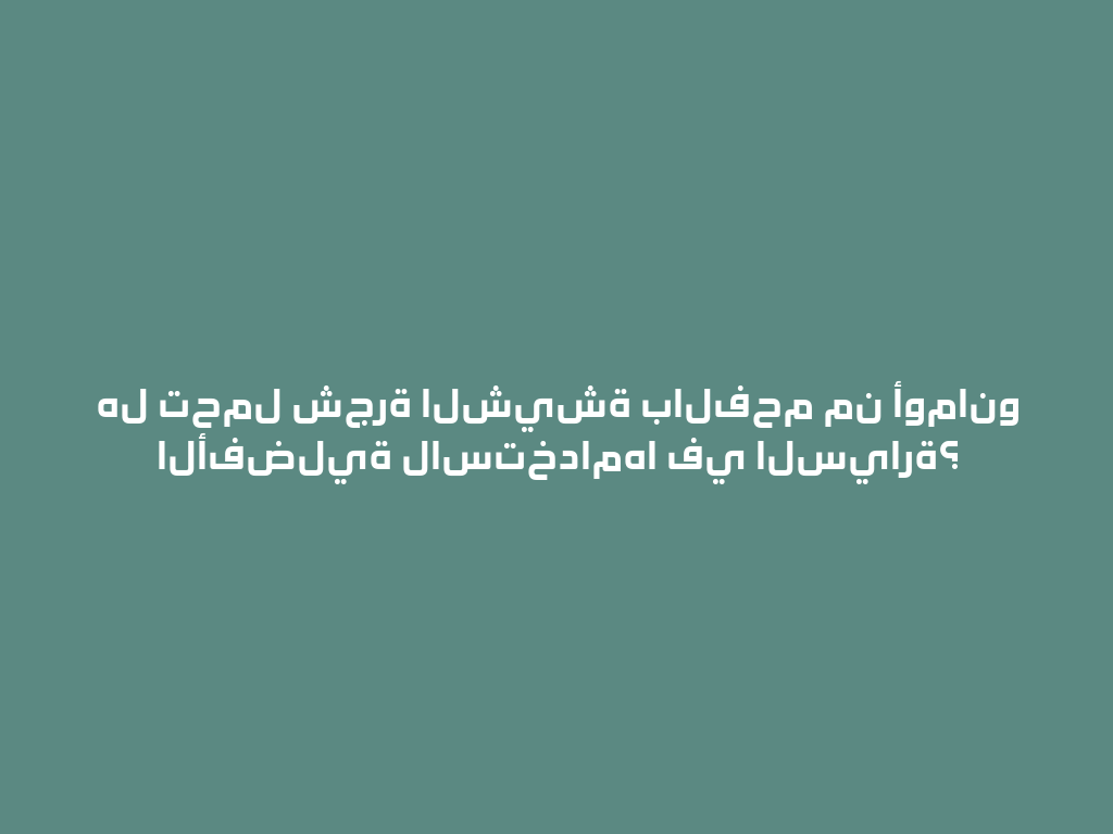هل تحمل شجرة الشيشة بالفحم من أومانو الأفضلية لاستخدامها في السيارة؟ 一