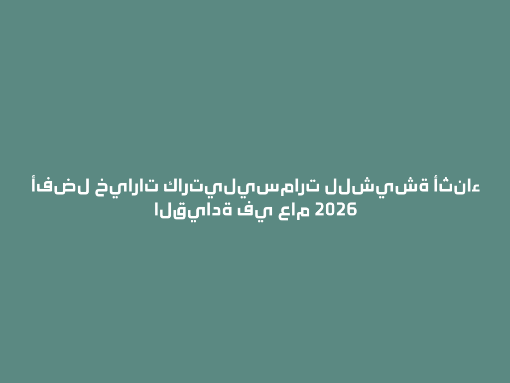 أفضل خيارات كارتيليسمارت للشيشة أثناء القيادة في عام 2026 一