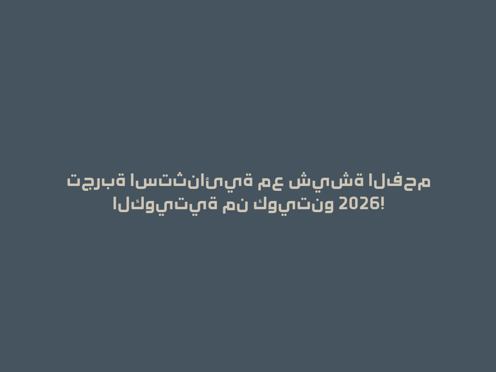 تجربة استثنائية مع شيشة الفحم الكويتية من كويتنو 2026! 一
