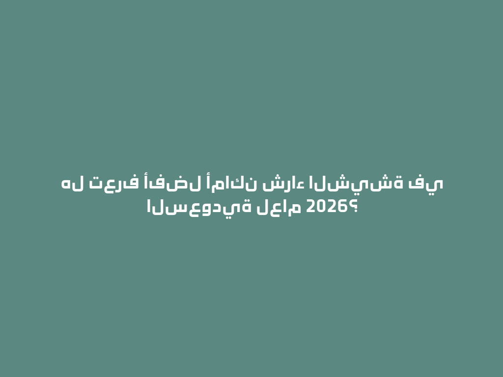 هل تعرف أفضل أماكن شراء الشيشة في السعودية لعام 2026؟ 一