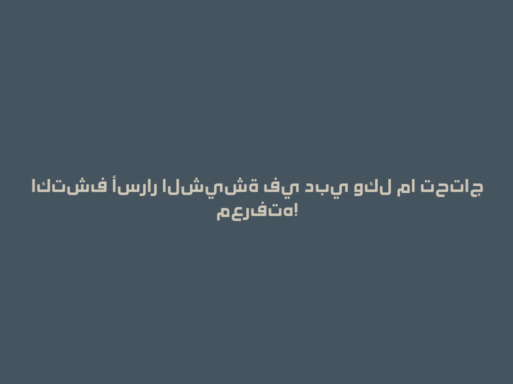 اكتشف أسرار الشيشة في دبي وكل ما تحتاج معرفته! 一