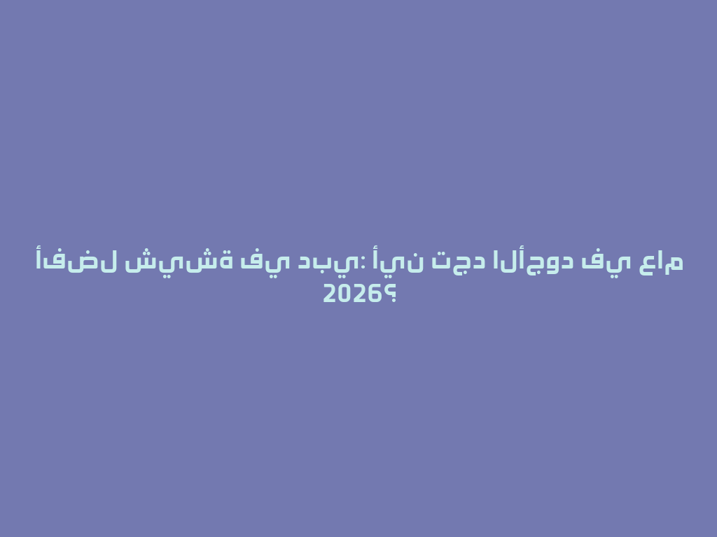 أفضل شيشة في دبي: أين تجد الأجود في عام 2026؟ 一