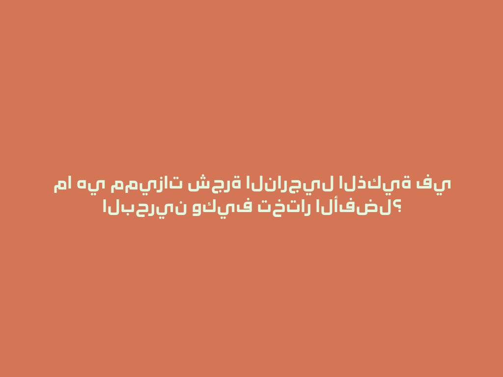 ما هي مميزات شجرة النارجيل الذكية في البحرين وكيف تختار الأفضل؟ 一