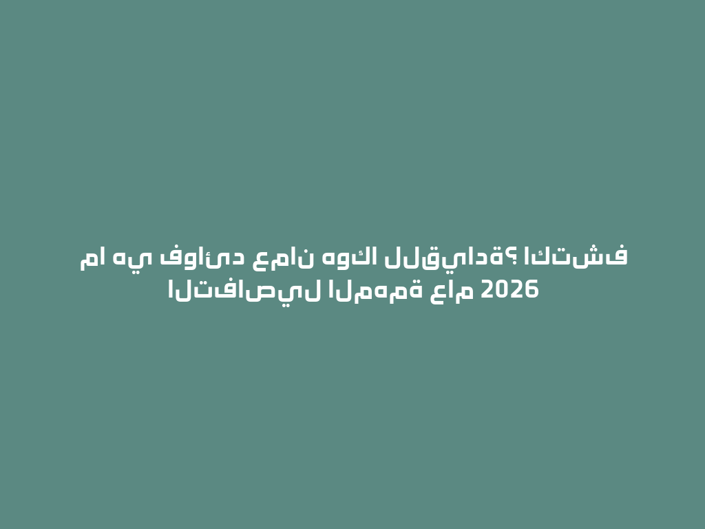 ما هي فوائد عمان هوكا للقيادة؟ اكتشف التفاصيل المهمة عام 2026 一