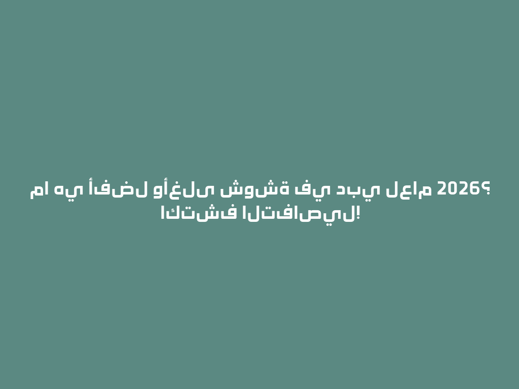 ما هي أفضل وأغلى شوشة في دبي لعام 2026؟ اكتشف التفاصيل! 一