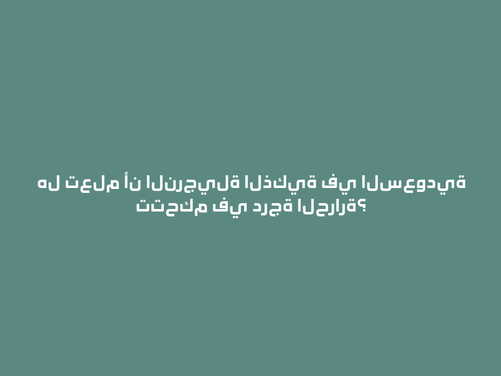 هل تعلم أن النرجيلة الذكية في السعودية تتحكم في درجة الحرارة؟ 一