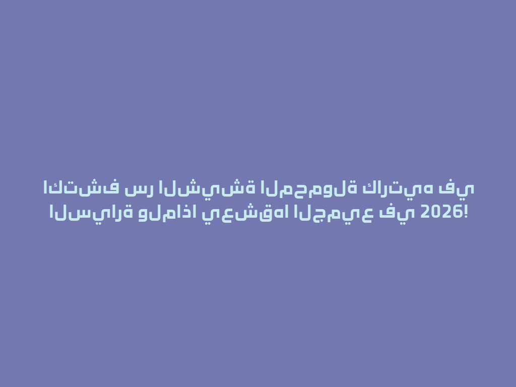 اكتشف سر الشيشة المحمولة كارتيه في السيارة ولماذا يعشقها الجميع في 2026! 一