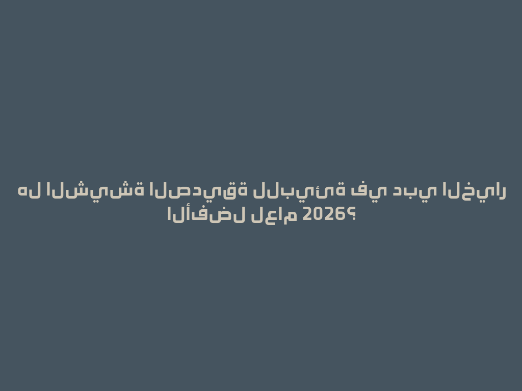 هل الشيشة الصديقة للبيئة في دبي الخيار الأفضل لعام 2026؟ 一