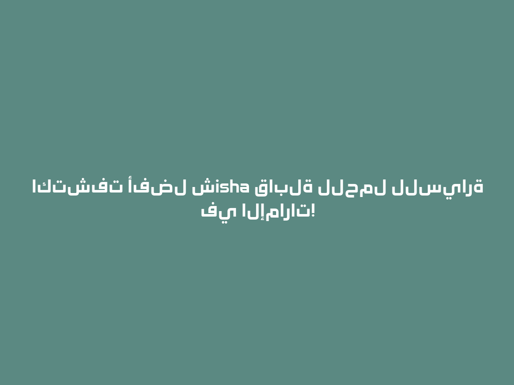 اكتشفت أفضل شisha قابلة للحمل للسيارة في الإمارات! 一