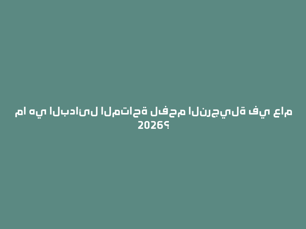 ما هي البدائل المتاحة لفحم النرجيلة في عام 2026؟ 一