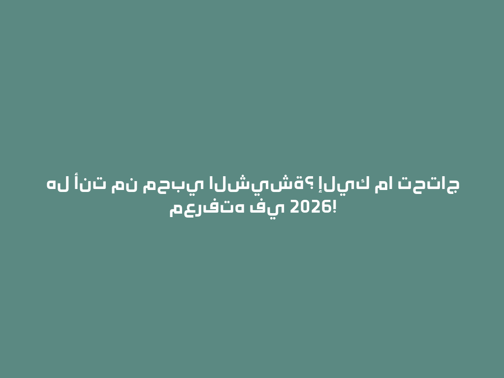 هل أنت من محبي الشيشة؟ إليك ما تحتاج معرفته في 2026! 一