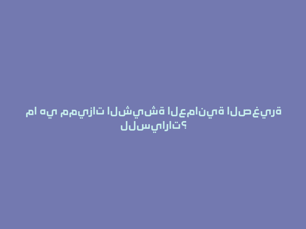 ما هي مميزات الشيشة العمانية الصغيرة للسيارات؟ 一
