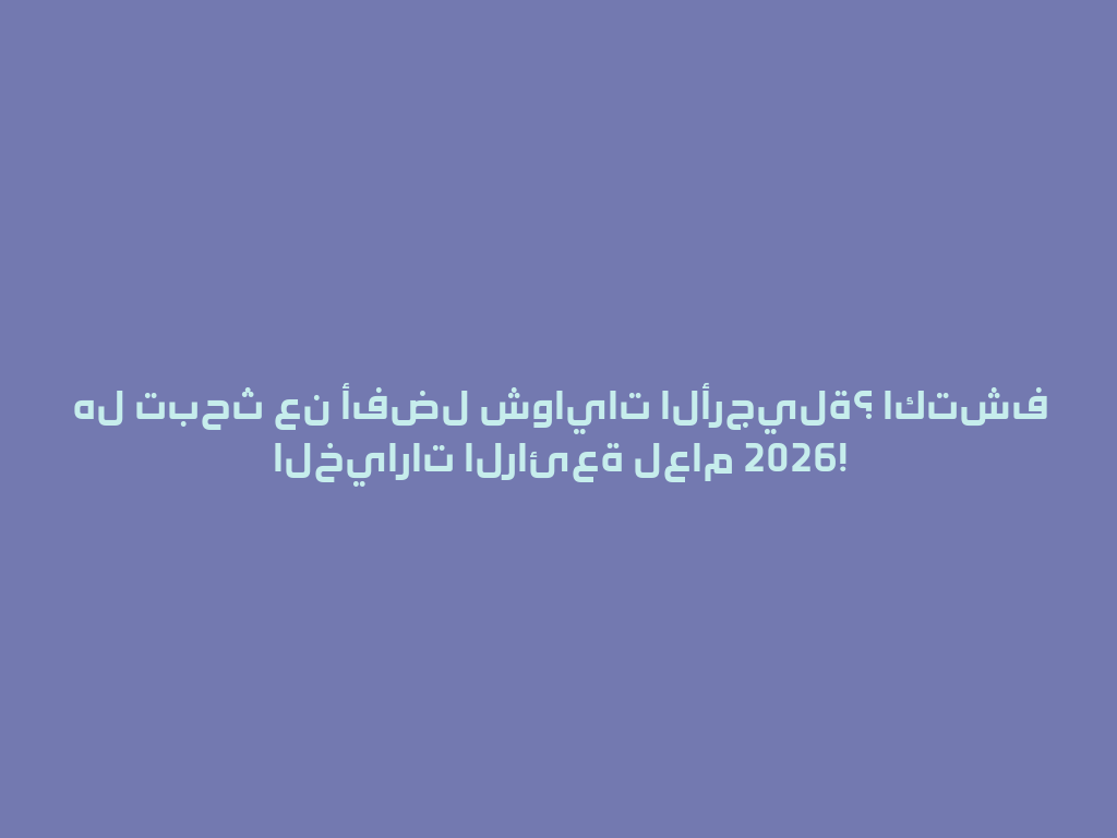 هل تبحث عن أفضل شوايات الأرجيلة؟ اكتشف الخيارات الرائعة لعام 2026! 一