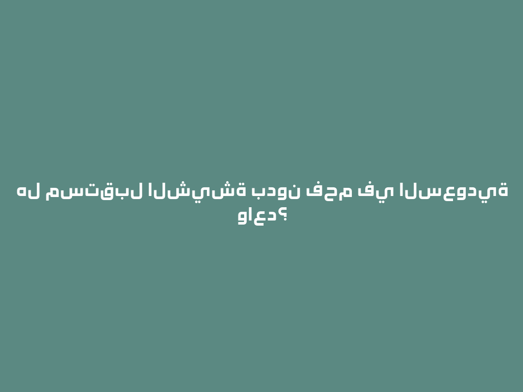 هل مستقبل الشيشة بدون فحم في السعودية واعد؟ 一