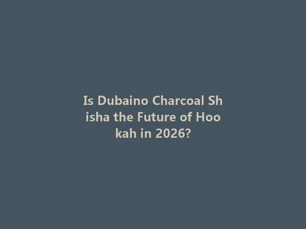 Is Dubaino Charcoal Shisha the Future of Hookah in 2026? 一