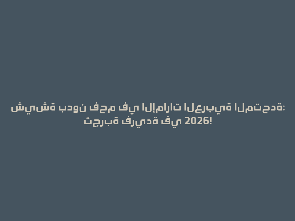 شيشة بدون فحم في الإمارات العربية المتحدة: تجربة فريدة في 2026! 一