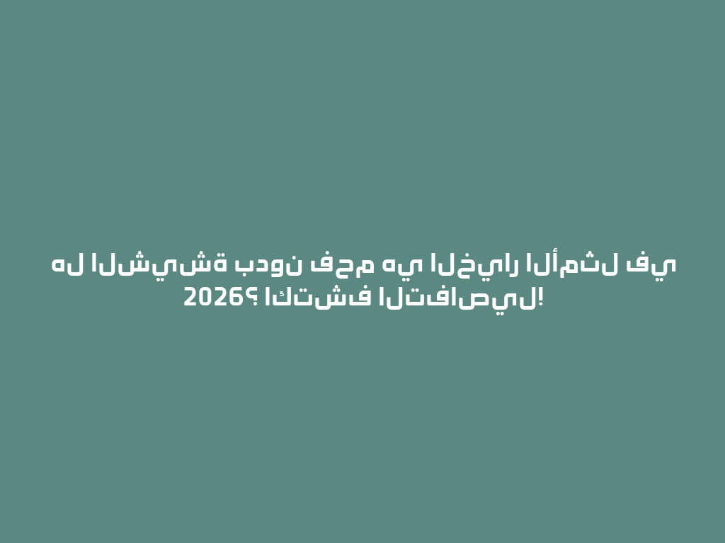 هل الشيشة بدون فحم هي الخيار الأمثل في 2026؟ اكتشف التفاصيل! 一