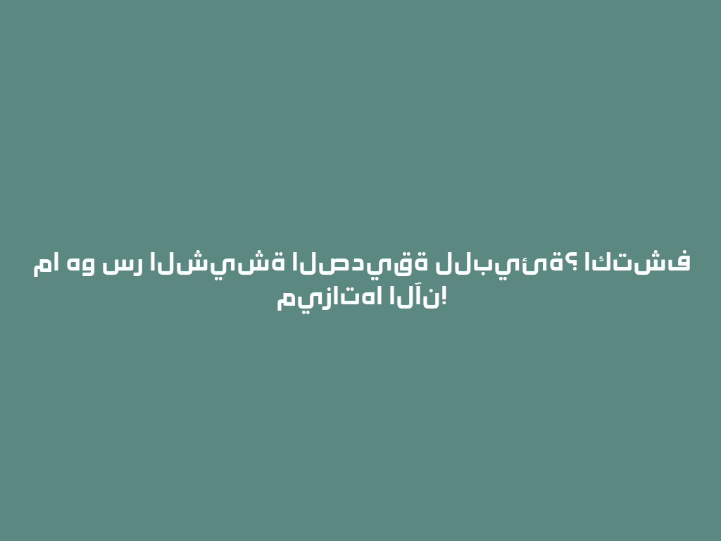 ما هو سر الشيشة الصديقة للبيئة؟ اكتشف ميزاتها الآن! 一