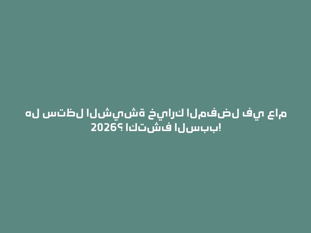هل ستظل الشيشة خيارك المفضل في عام 2026؟ اكتشف السبب! 一
