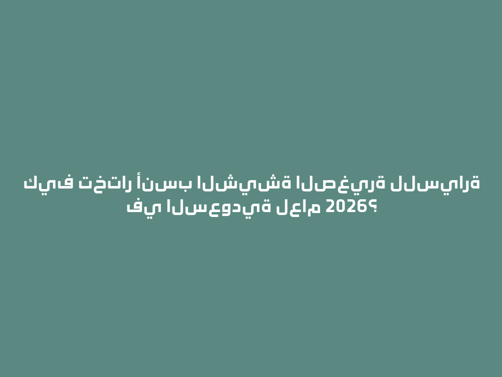 كيف تختار أنسب الشيشة الصغيرة للسيارة في السعودية لعام 2026؟ 一