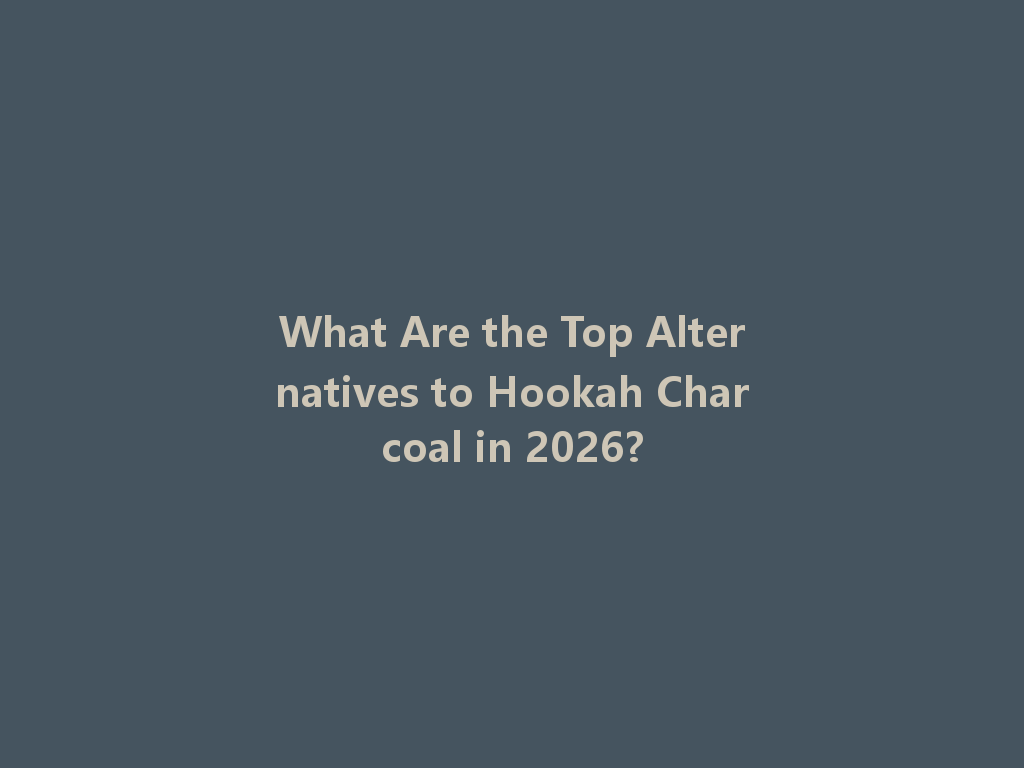 What Are the Top Alternatives to Hookah Charcoal in 2026? 一