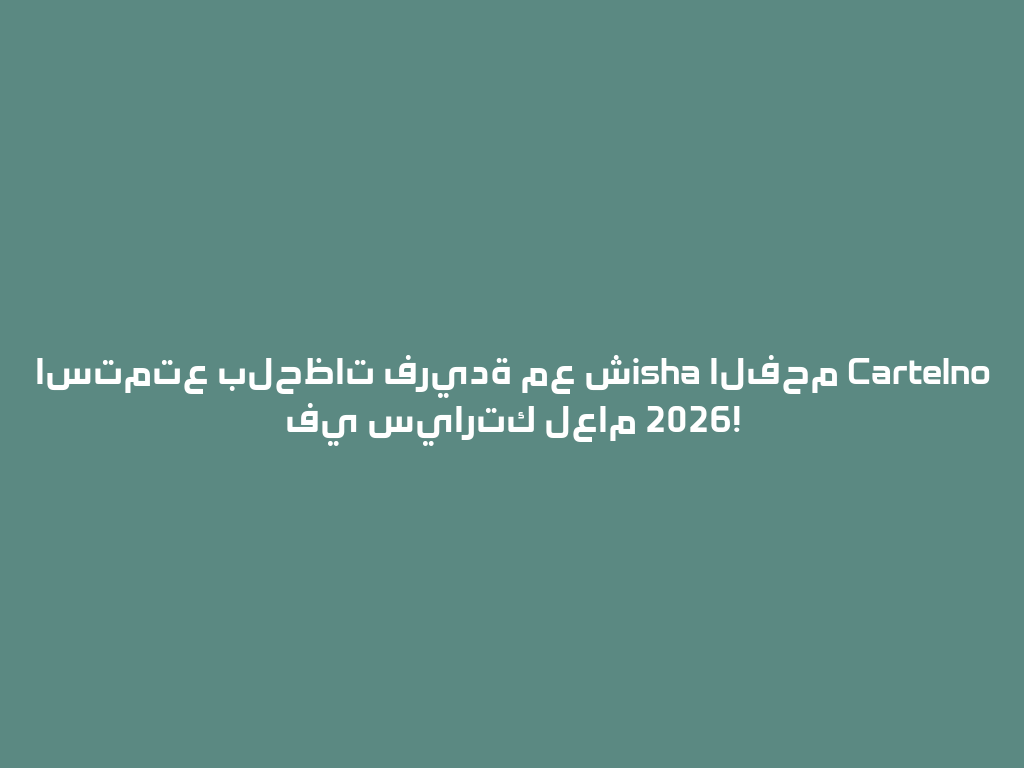 استمتع بلحظات فريدة مع شisha الفحم Cartelno في سيارتك لعام 2026! 一