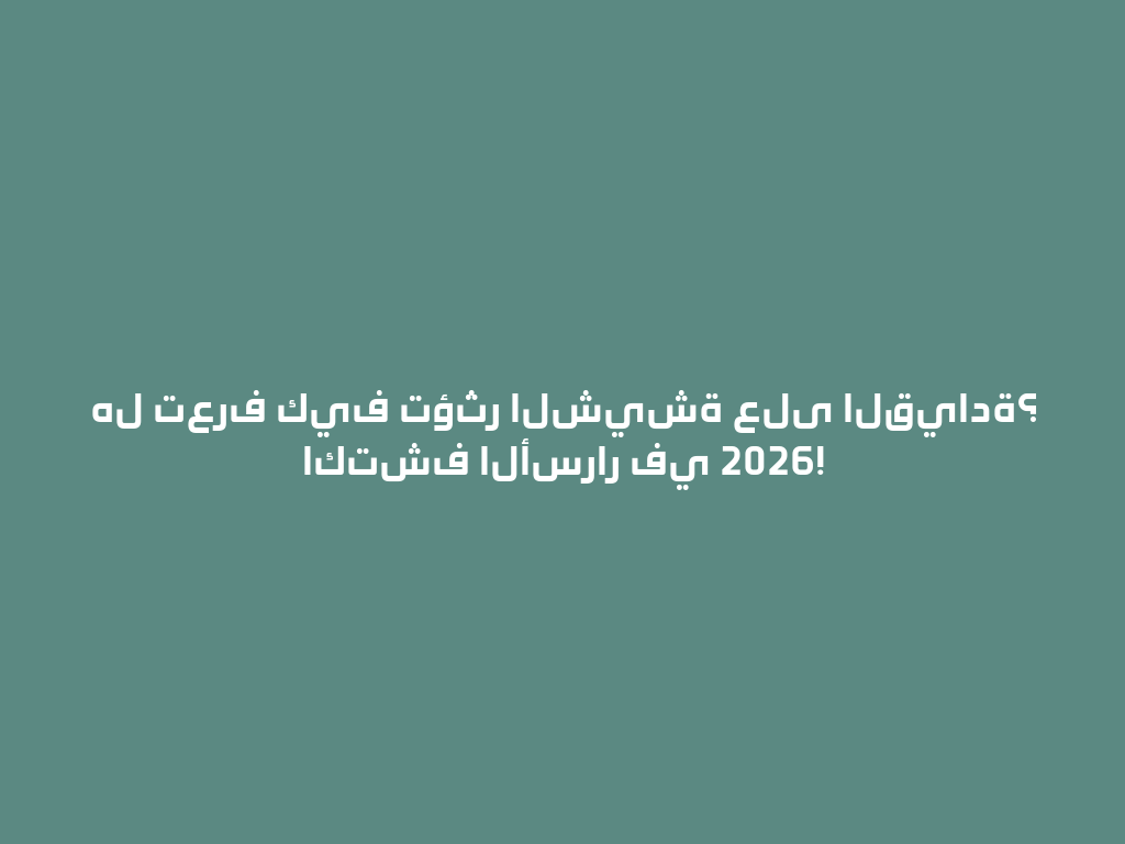 هل تعرف كيف تؤثر الشيشة على القيادة؟ اكتشف الأسرار في 2026! 一
