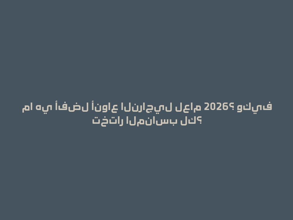 ما هي أفضل أنواع النراجيل لعام 2026؟ وكيف تختار المناسب لك؟ 一