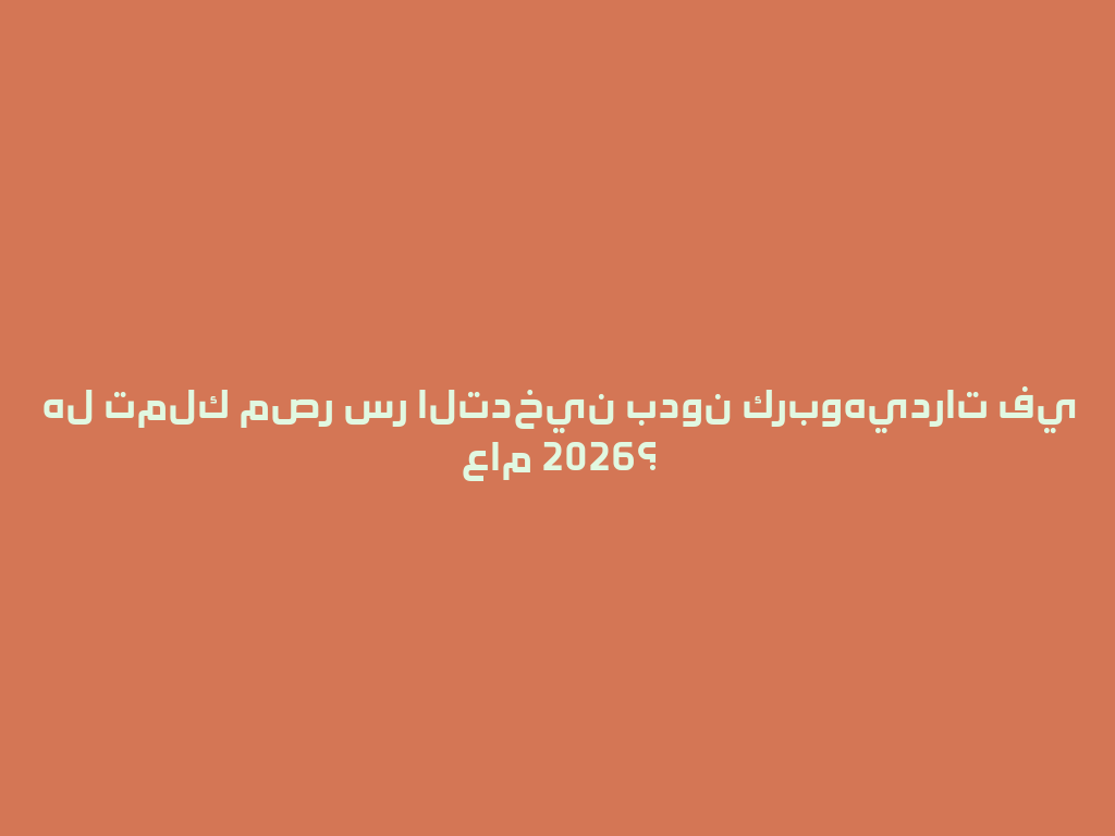هل تملك مصر سر التدخين بدون كربوهيدرات في عام 2026؟ 一