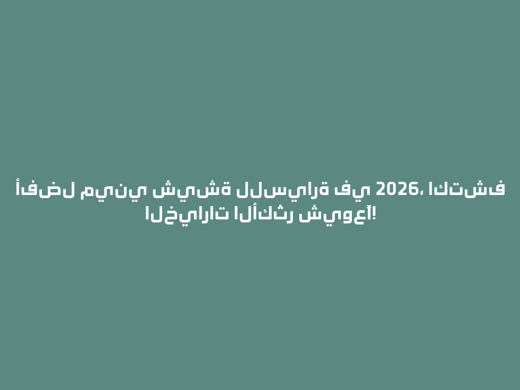 أفضل ميني شيشة للسيارة في 2026، اكتشف الخيارات الأكثر شيوعًا! 一