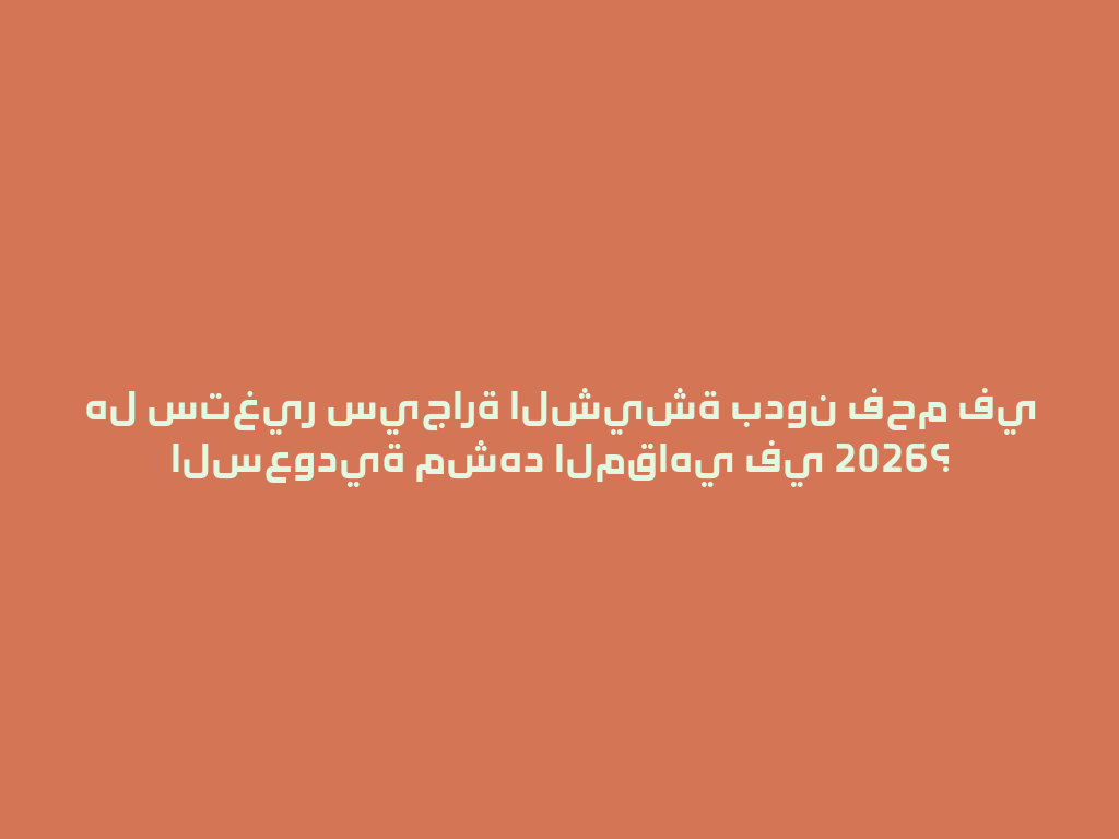 هل ستغير سيجارة الشيشة بدون فحم في السعودية مشهد المقاهي في 2026؟ 一
