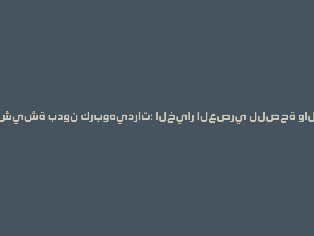 رأس شيشة بدون كربوهيدرات: الخيار العصري للصحة والراحة! 一
