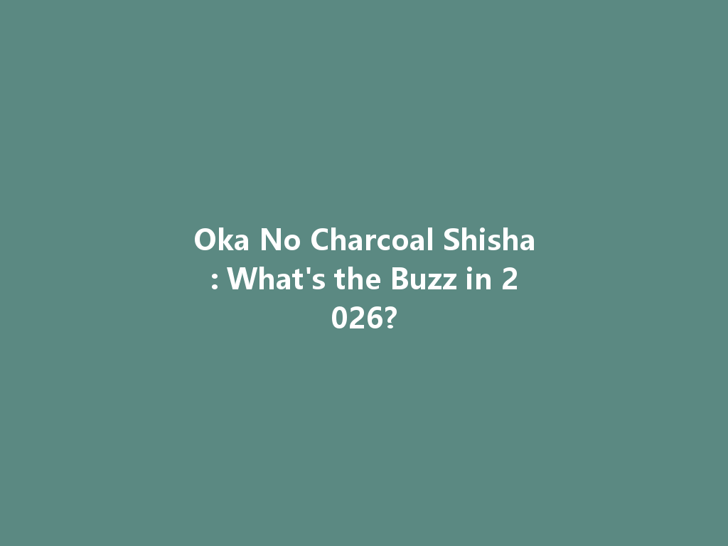 Oka No Charcoal Shisha: What's the Buzz in 2026? 一
