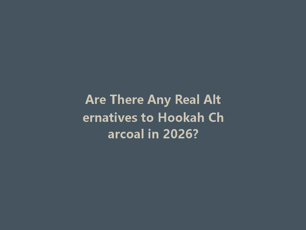 Are There Any Real Alternatives to Hookah Charcoal in 2026? 一