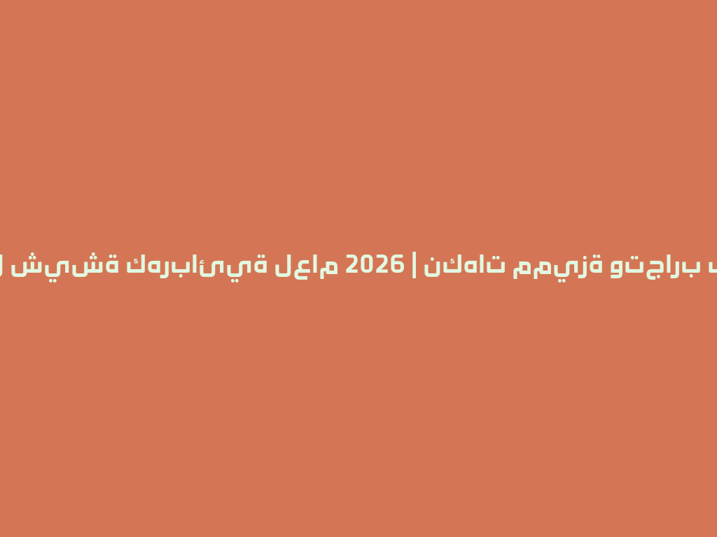 أفضل شيشة كهربائية لعام 2026 | نكهات مميزة وتجارب فريدة 一
