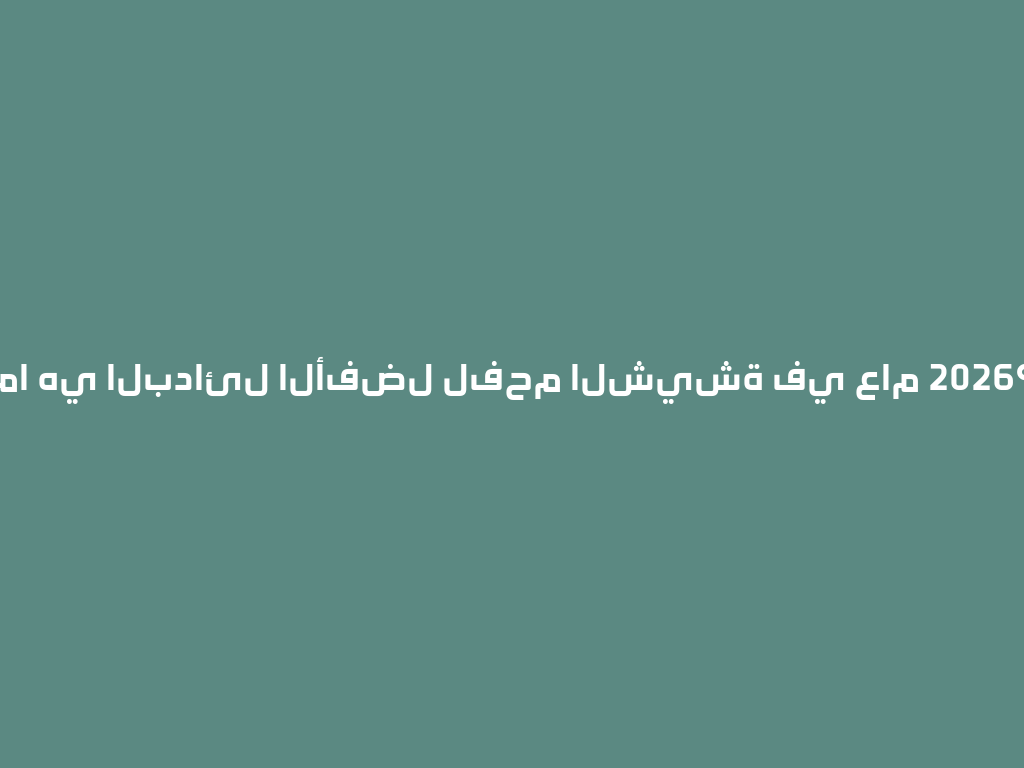 ما هي البدائل الأفضل لفحم الشيشة في عام 2026؟ 一
