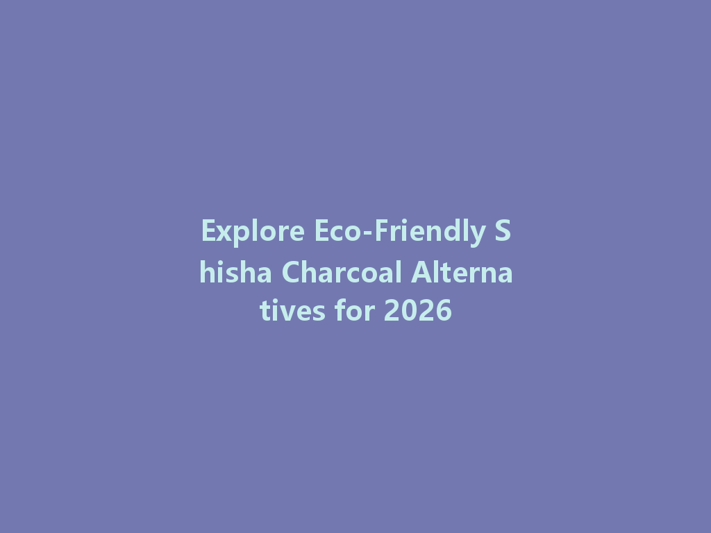Explore Eco-Friendly Shisha Charcoal Alternatives for 2026 一