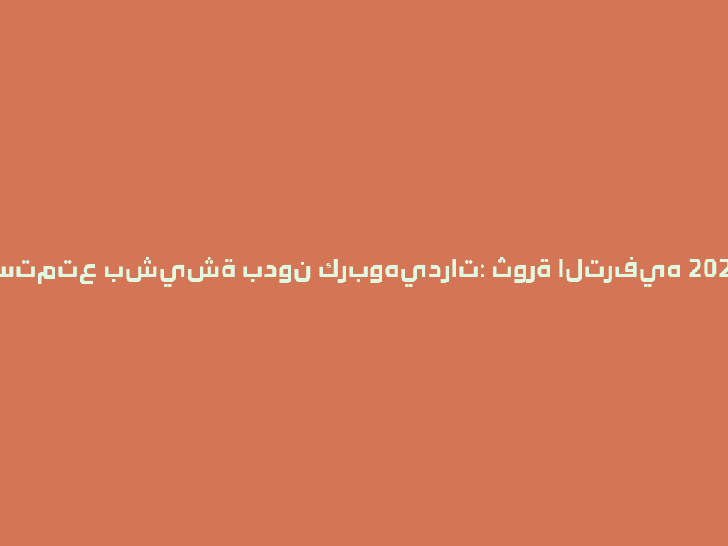 استمتع بشيشة بدون كربوهيدرات: ثورة الترفيه 2026! 一