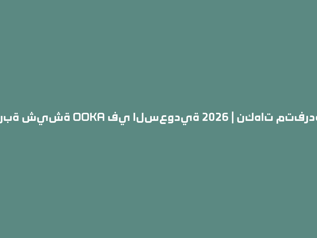أفضل تجربة شيشة OOKA في السعودية 2026 | نكهات متفردة وأصلية 一