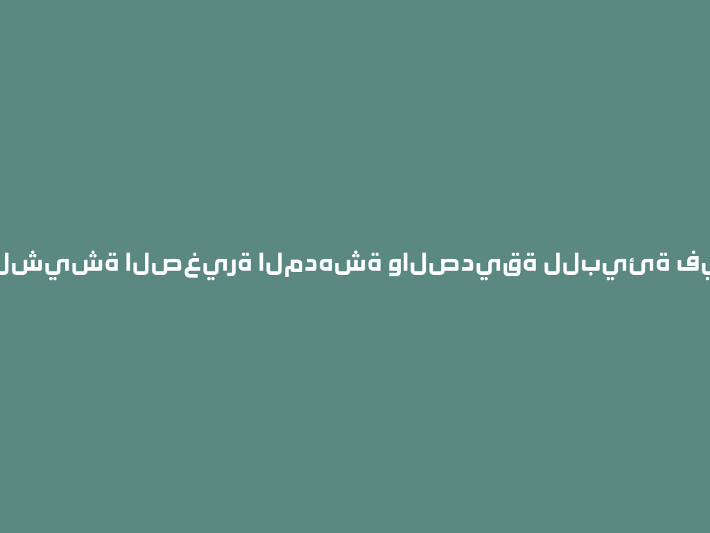 سعر الشيشة الصغيرة المدهشة والصديقة للبيئة في 2026 一