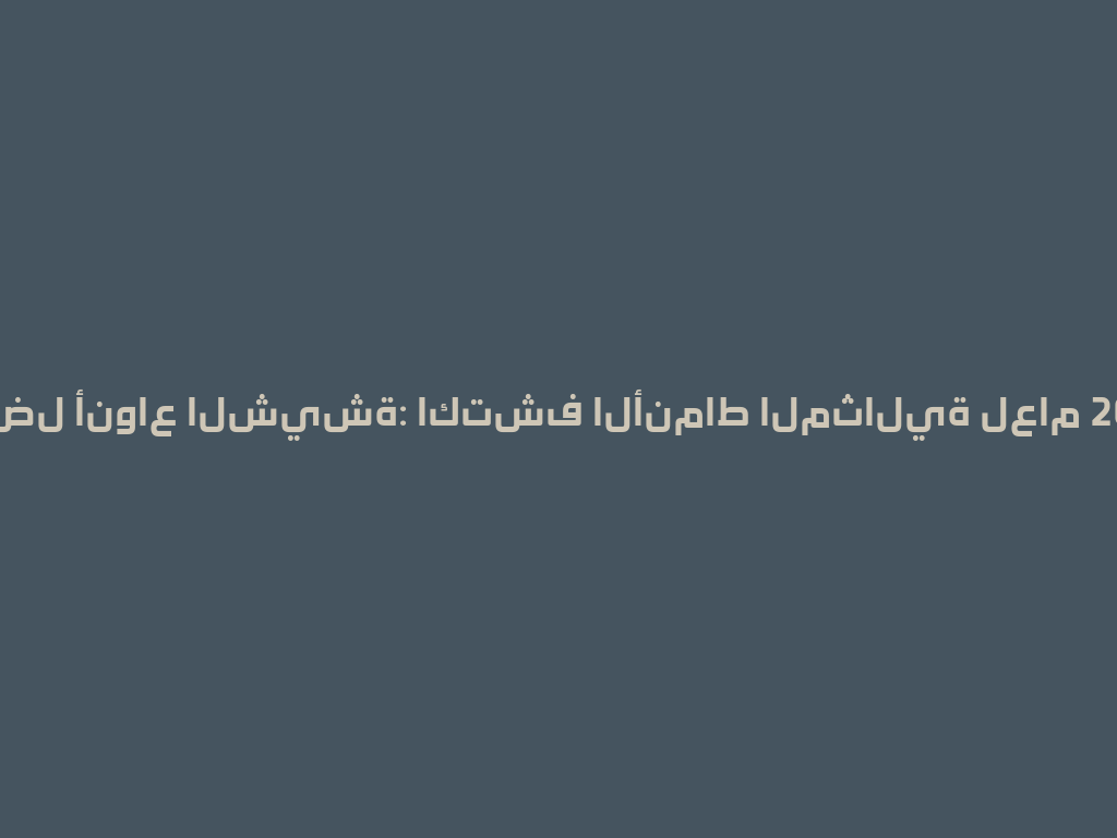 أفضل أنواع الشيشة: اكتشف الأنماط المثالية لعام 2026 一