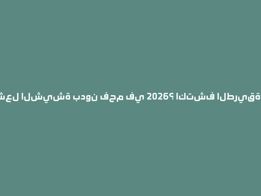 كيف تشعل الشيشة بدون فحم في 2026؟ اكتشف الطريقة السهلة! 一