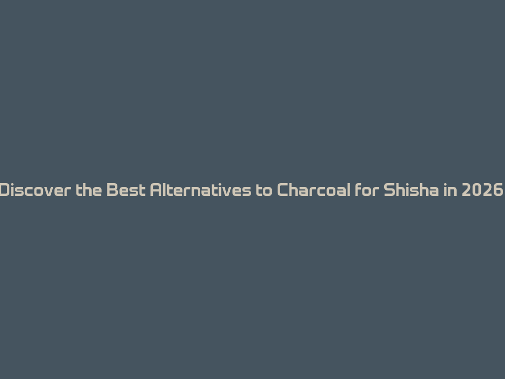 Discover the Best Alternatives to Charcoal for Shisha in 2026! 一