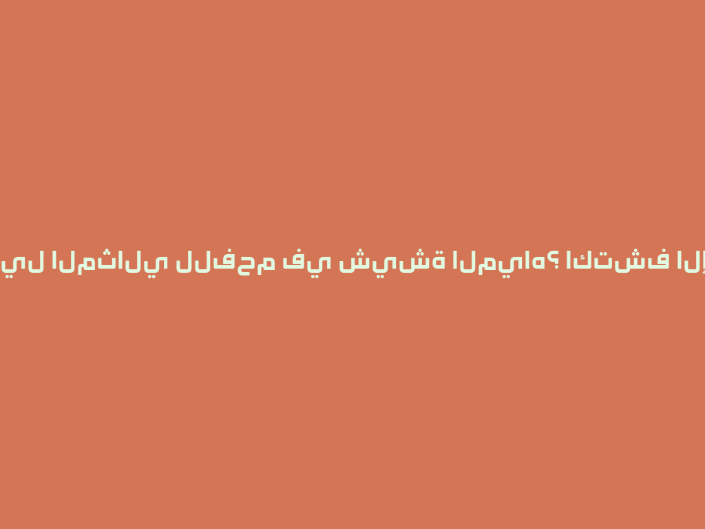 ما هو البديل المثالي للفحم في شيشة المياه؟ اكتشف الإجابة الآن! 一