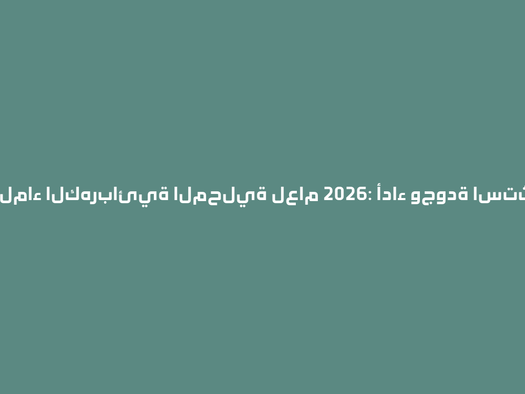 شواية الماء الكهربائية المحلية لعام 2026: أداء وجودة استثنائية! 一