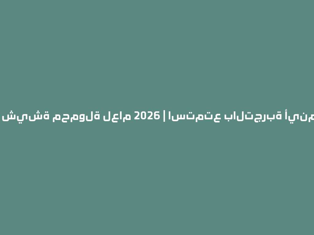 أفضل شيشة محمولة لعام 2026 | استمتع بالتجربة أينما كنت! 一